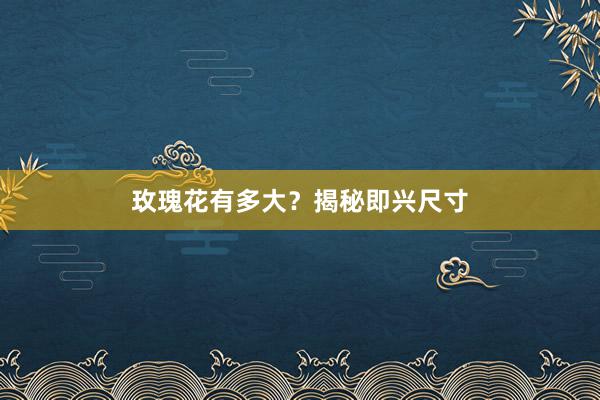 玫瑰花有多大？揭秘即兴尺寸