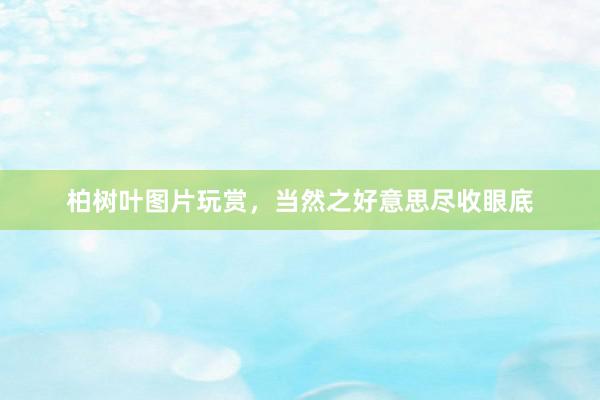 柏树叶图片玩赏，当然之好意思尽收眼底