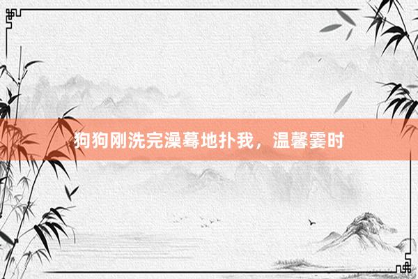 狗狗刚洗完澡蓦地扑我，温馨霎时